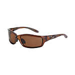 Infinity Brown/Brown Polarized