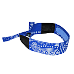 Arctic Radwear® Headband - Blue Paisley
